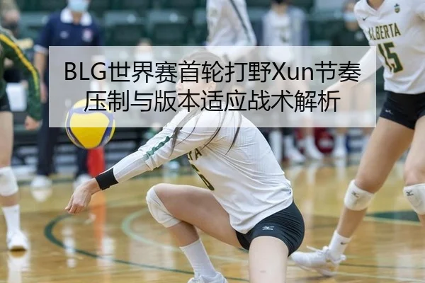 shi-jie-sai-shou-lun-da-ye-jie-zou-ya-zhi-yu-ban-ben-shi-ying-zhan-shu-jie-xi-3-416.jpg