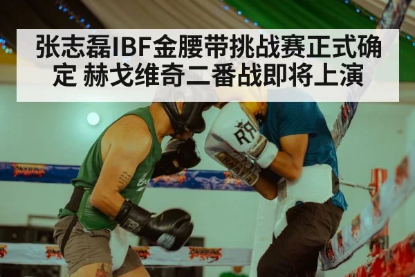 张志磊IBF金腰带挑战赛正式确定 赫戈维奇二番战即将上演